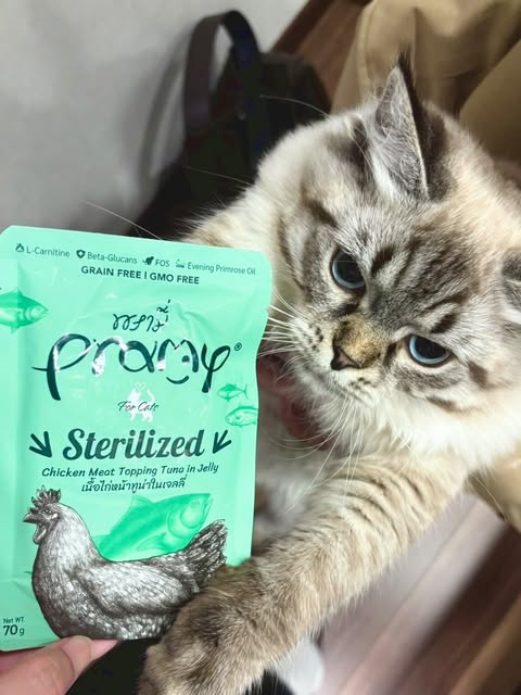 ほまれちゃん「食いつきも良く、毎回完食🤣✨」