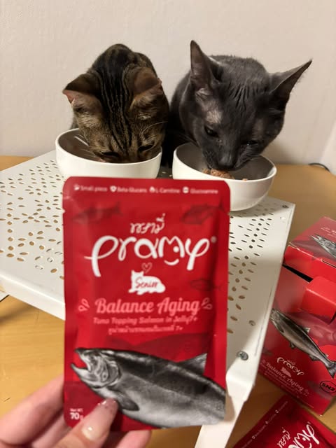 ココちゃん&ミルちゃん「とにかく食いつきがいいです!」