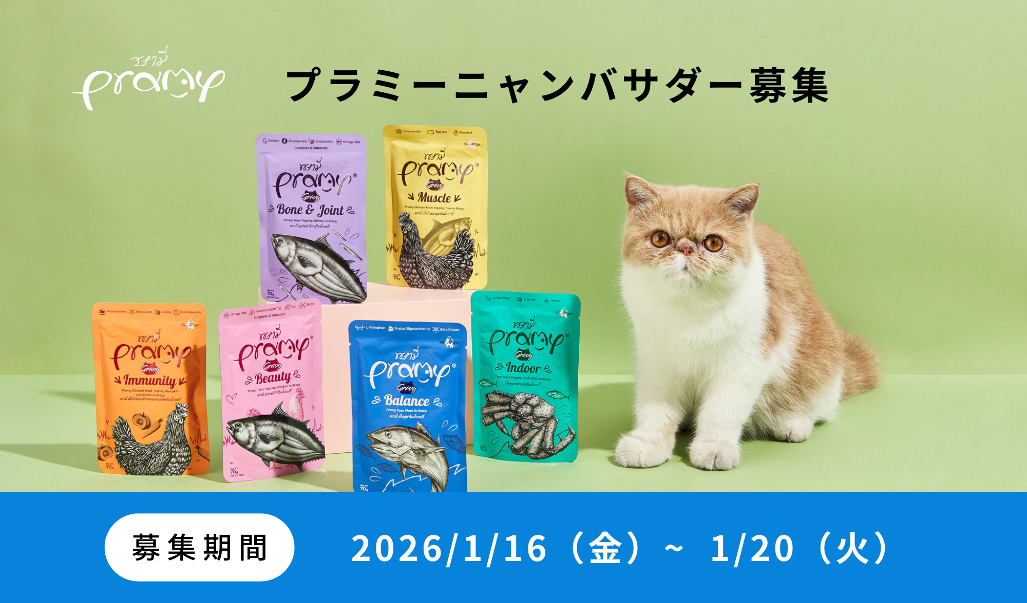 第3期プラミーニャンバサダーになりませんか？ – Peaker