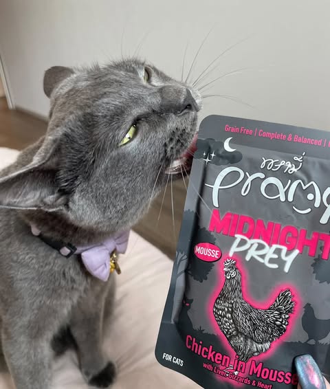 ムンちゃん「開封した瞬間からクンクンが止まらず」