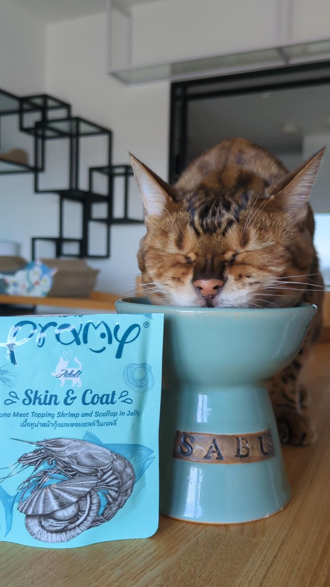 さぶろうちゃん「食べ終えたお皿をずっと舐めているほど」