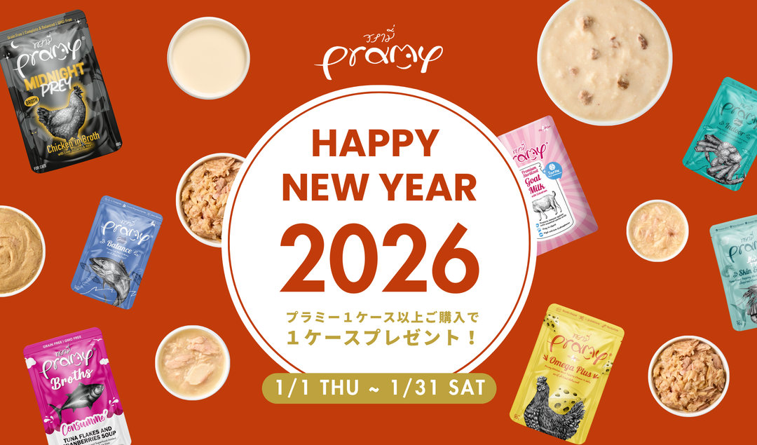 新年初売りキャンペーンのお知らせ