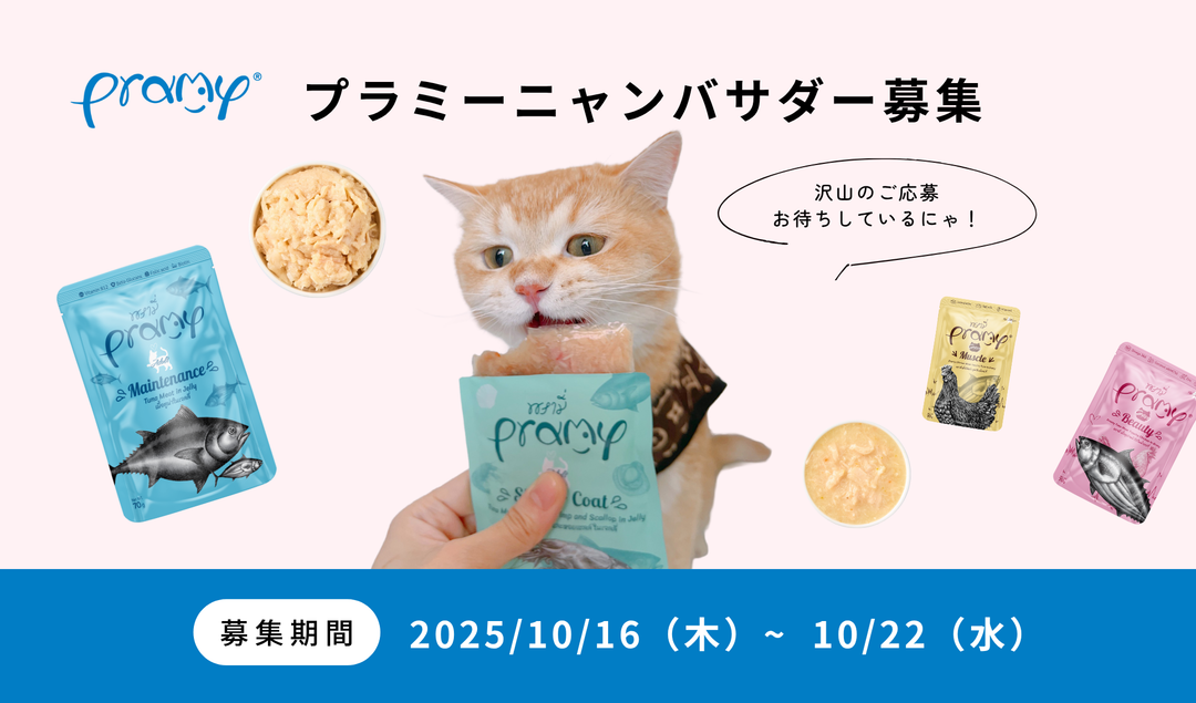 第2期プラミーニャンバサダーになりませんか？