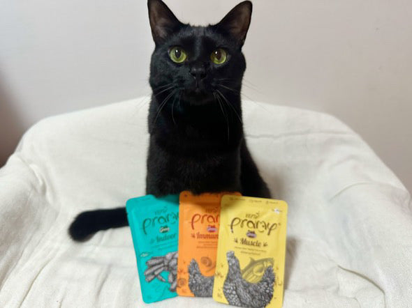 テンテンちゃん「袋を開けた瞬間から、おねだりの「にゃん~にゃん~」が止まらない」