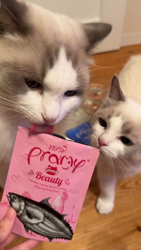 エルちゃん・リアちゃん「開けた瞬間から美味しそうな匂いを察知」