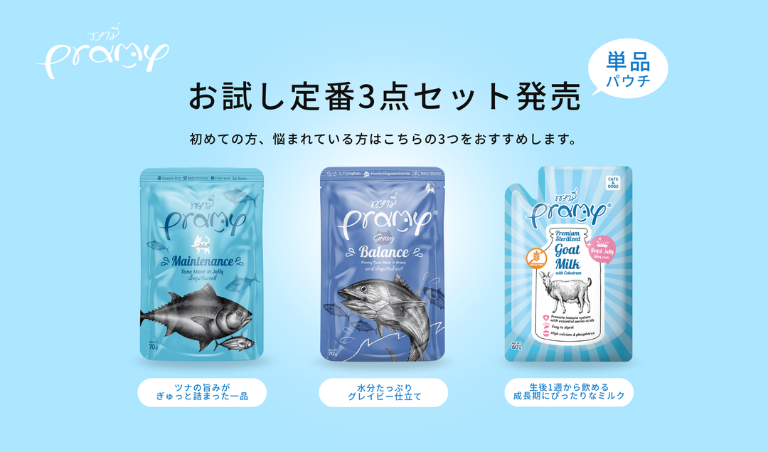 【プラミー】お試し定番3点セット発売のお知らせ