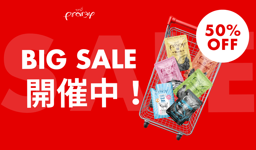 プラミー BIGセール開催中！