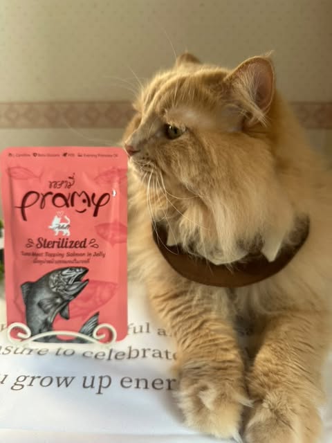 ノアちゃん「お腹も心も満たされて幸せそうです😻💓」