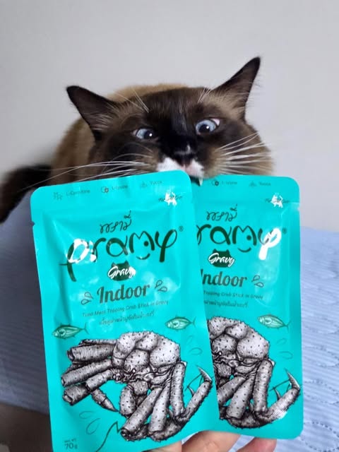 ラピスちゃん「袋に穴を開けてしまうくらい(笑)」