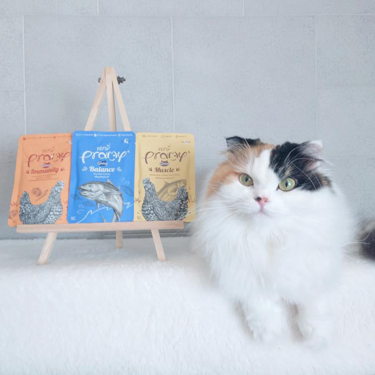 ちゃちゃみちゃん写真