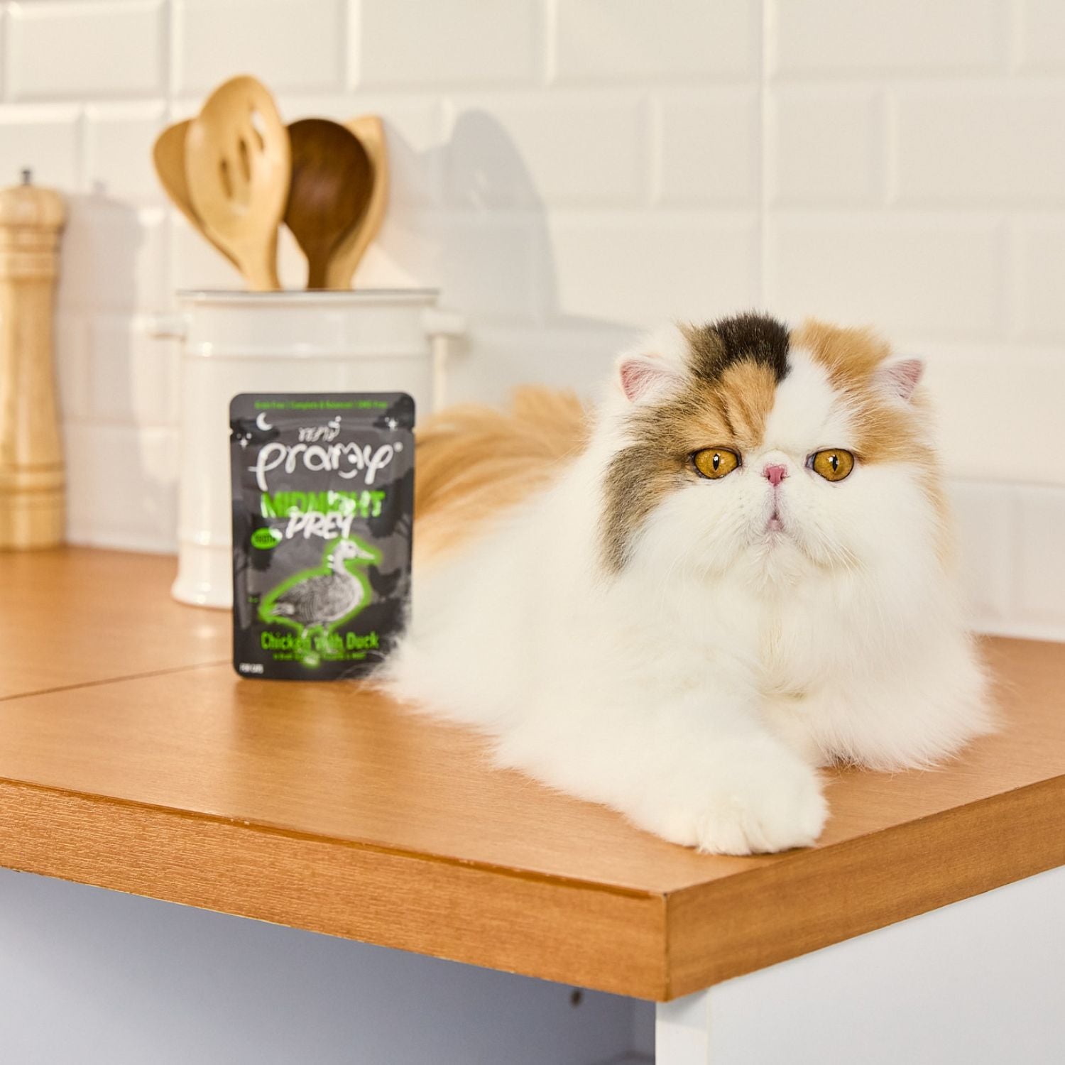 ミッドナイト チキン ダック ブイヨン仕立て 80g×12個入 （総合栄養