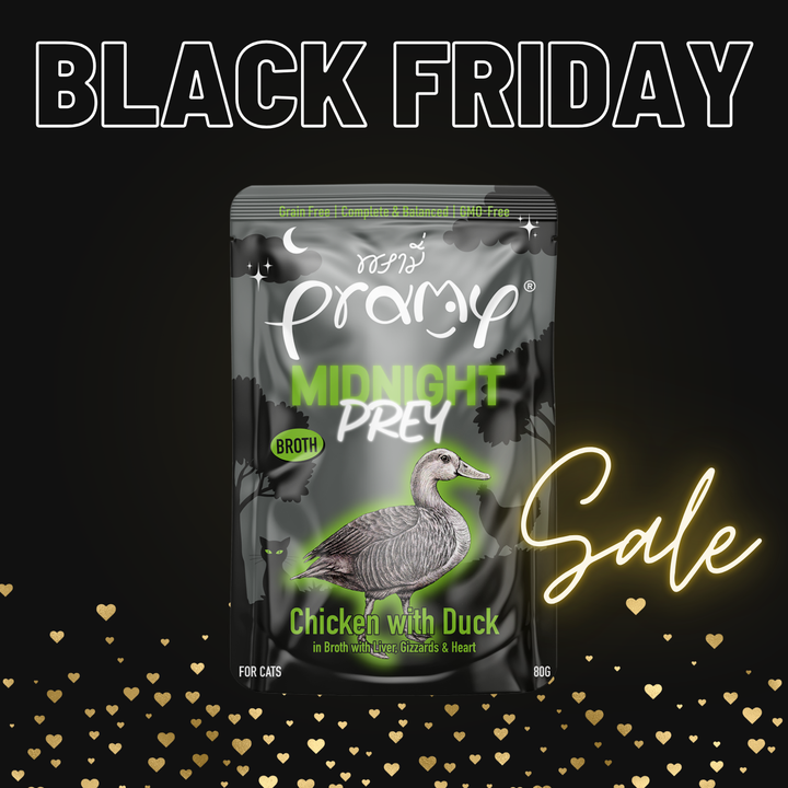 【15％OFF】ミッドナイト チキン ダック ブイヨン仕立て  80g×12個入 （総合栄養⾷）