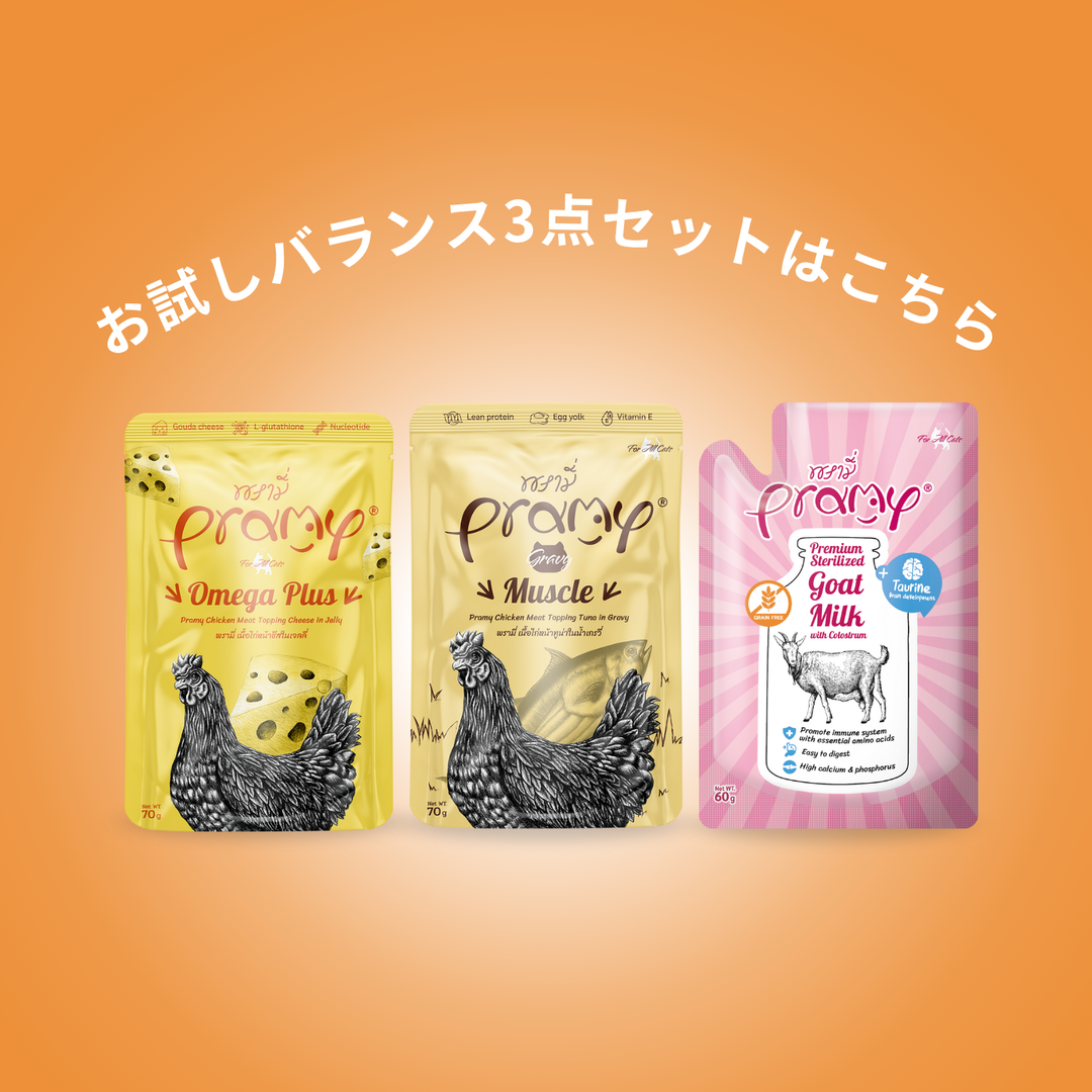 【新登場！】★送料無料！お試しバランス3点セット※一世帯につき1セットまで