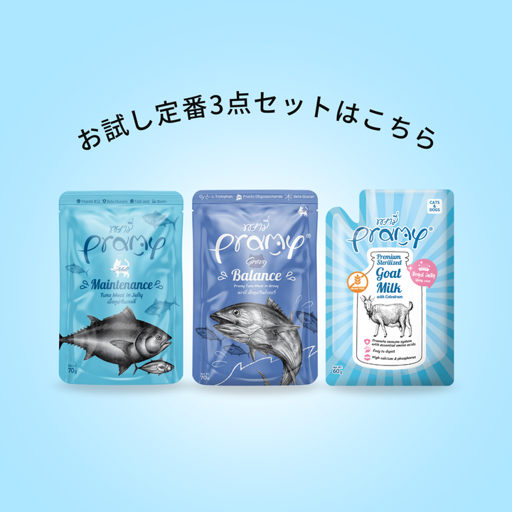 ★送料無料！お試し定番3点セット※一世帯一回限り