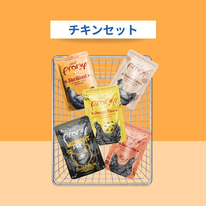 【送料無料】チキンセット