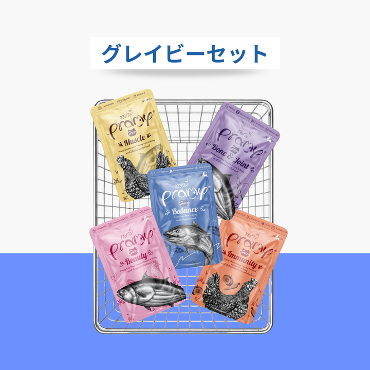 【送料無料】グレイビーセット