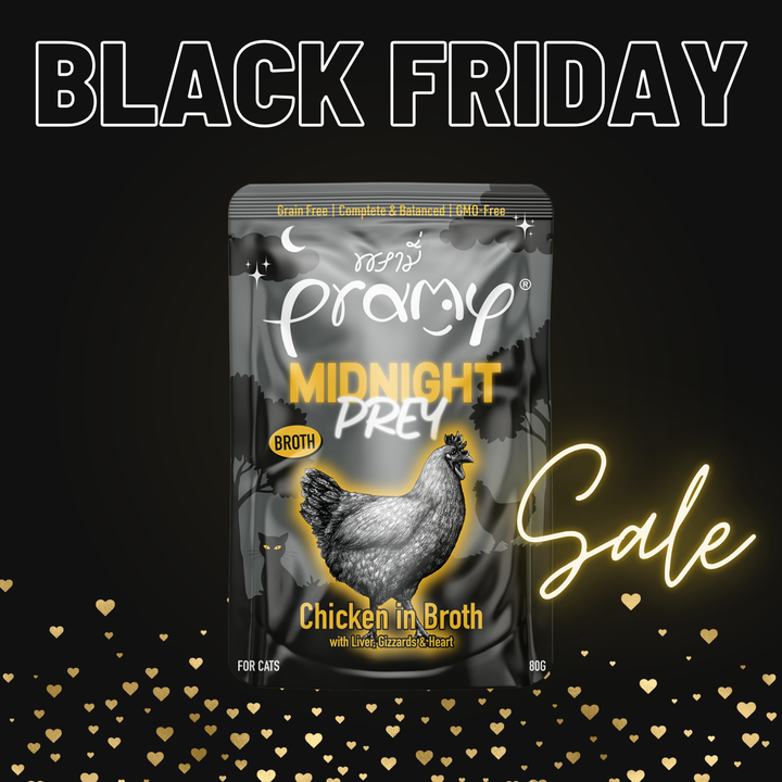 【15％OFF】ミッドナイト  チキン  ブイヨン仕立て  80g×12個入 （総合栄養⾷）