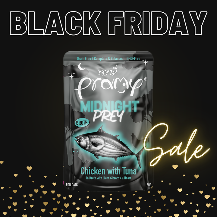 【15％OFF】ミッドナイト  チキン ツナ ブイヨン仕立て   80g×12個入 （総合栄養⾷）