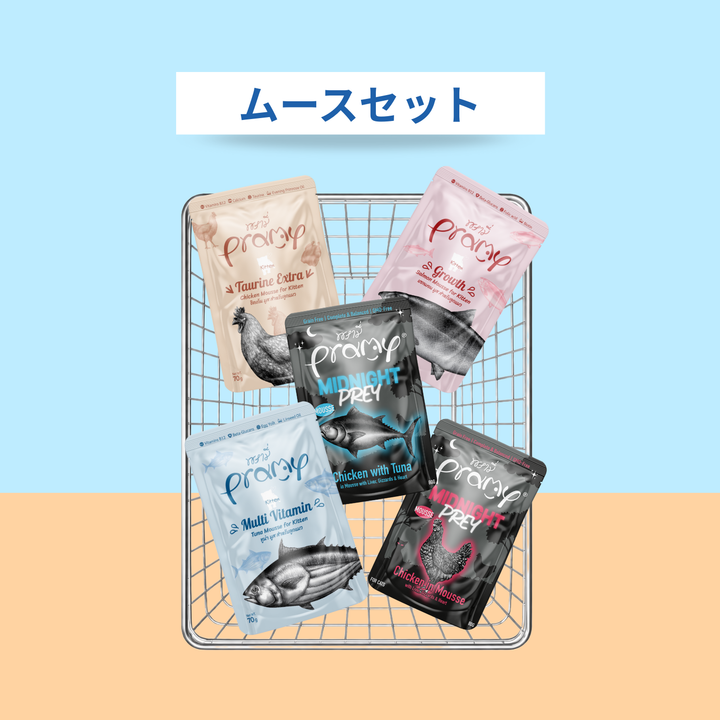 【送料無料】ムースセット