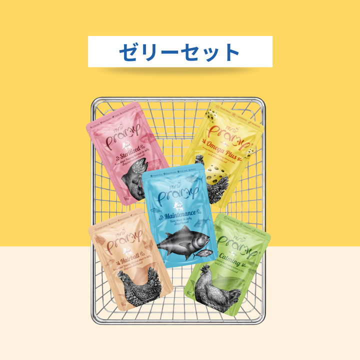 【送料無料】ゼリーセット